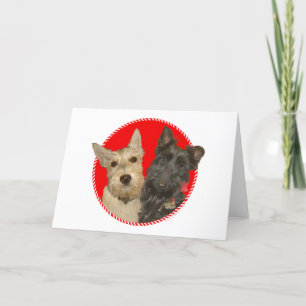 Christmas Wheaten & Black Scotties Holiday Card