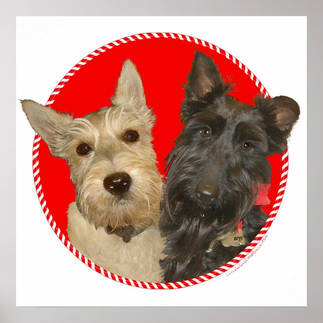 Christmas Wheaten & Black Scotties Poster (Front)