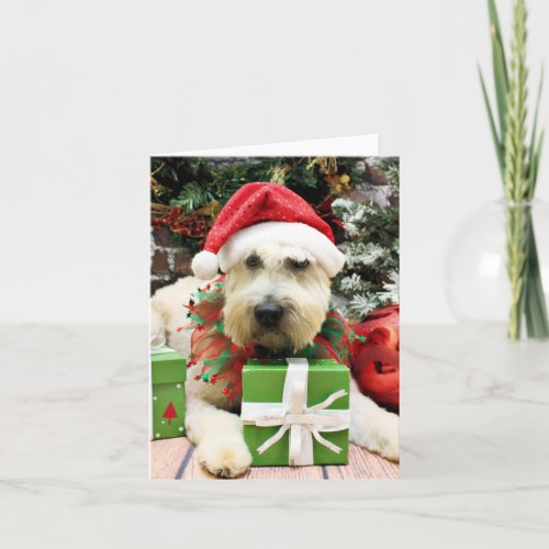 Christmas _ Wheaten Terrier _ Bailey Holiday Card