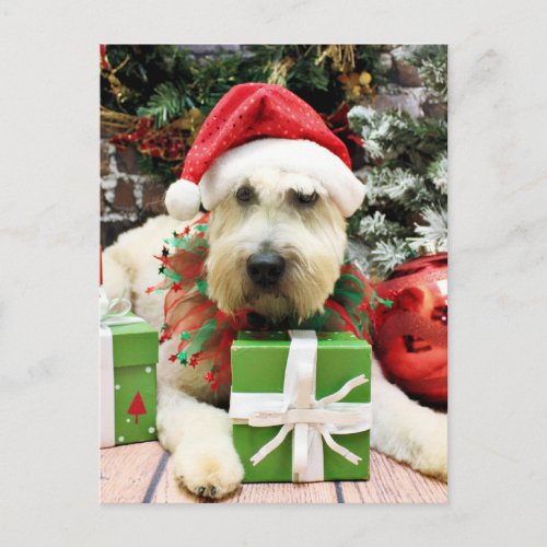 Christmas _ Wheaten Terrier _ Bailey Holiday Postcard