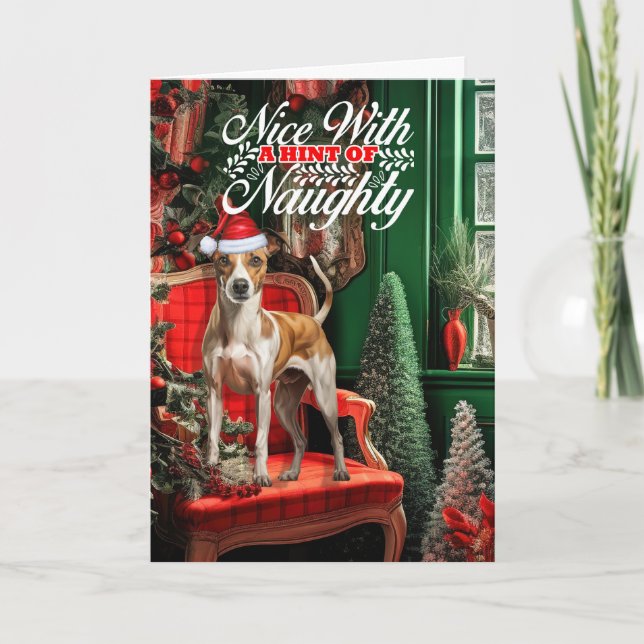 Christmas Whippet Dog Naughty or Nice Holiday Card (Front)