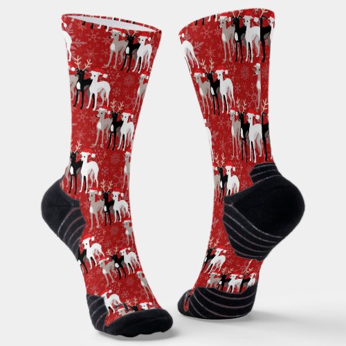 Christmas Whippets or Italian Greyhounds Socks