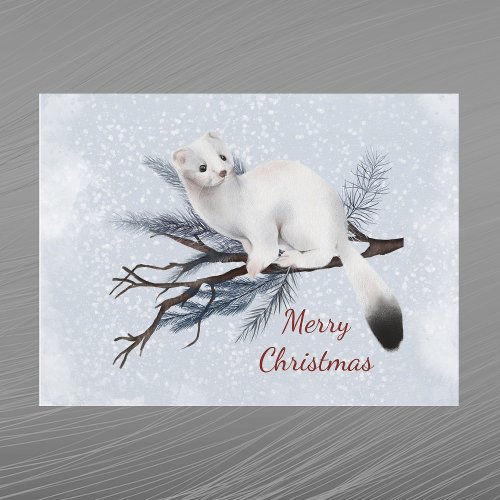 Christmas White Ermine Pine Watercolor Holiday Postcard