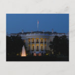 Christmas White House at Night in Washington DC Postcard