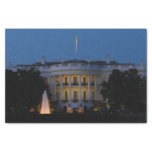 Christmas White House at Night in Washington DC Tissue Paper