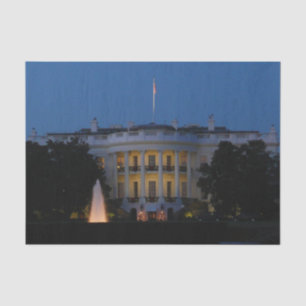 Christmas White House at Night in Washington DC Tissue Paper
