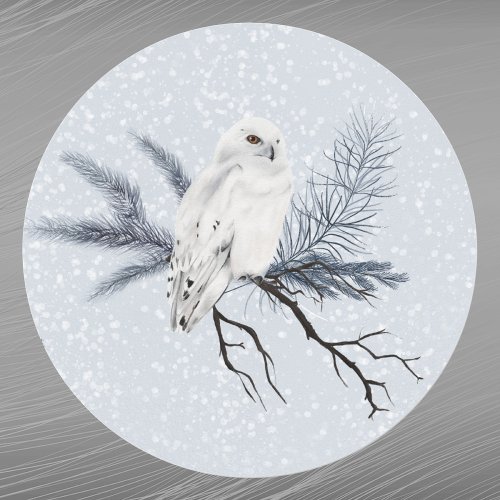 Christmas White Owl Pine Branch Watercolor Classic Round Sticker
