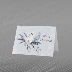 Christmas White Owl Pine Branch Watercolor Holiday Card