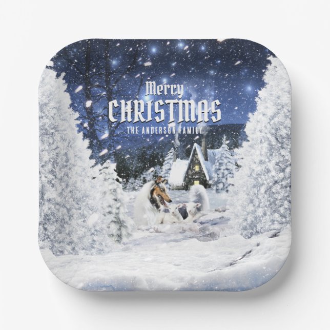 Christmas Winter Fairy Tale, Blue Merle Collie - Paper Plates (Front)