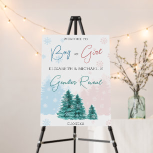 Christmas Winter Gender Reveal Party Poster