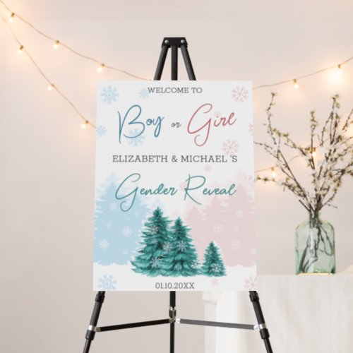 Christmas Winter Gender Reveal Party Poster