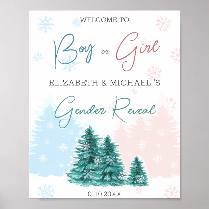 Christmas Winter Gender Reveal Party Poster | Zazzle