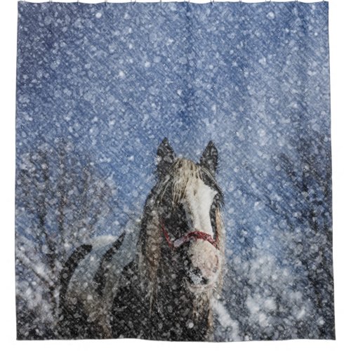 Christmas Winter Pony Shower Curtain