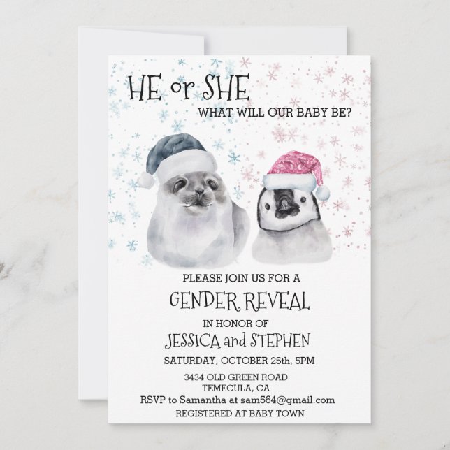 Christmas Winter Seal Penguin Gender Reveal Invitation (Front)