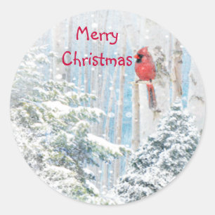Christmas, Winter Snow Cardinal Red Bird Classic Round Sticker
