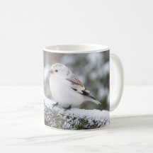 Christmas Winter Snowfinch