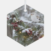 Christmas Winter Snowfinch