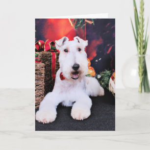 Christmas - Wire Fox Terrier - Dexter Holiday Card