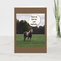 *CHRISTMAS* WISHES from A SPECIAL HORSE