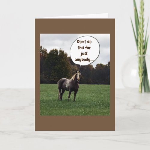 CHRISTMAS WISHES from A SPECIAL HORSE Card