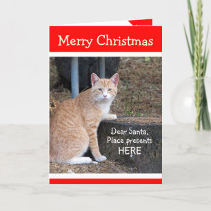Christmas Wishes Orange Tabby Card