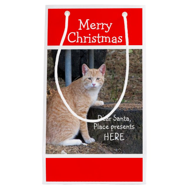 Christmas Wishes Orange Tabby Gift Bag (Front)