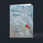 Christmas Wishes Red Cardinal Wife Friend  Holiday Card<br><div class="desc">Red Cardinal in beautiful snowy  Tree Forest Merry Christmas Wishes for my wife,  my Friend</div>