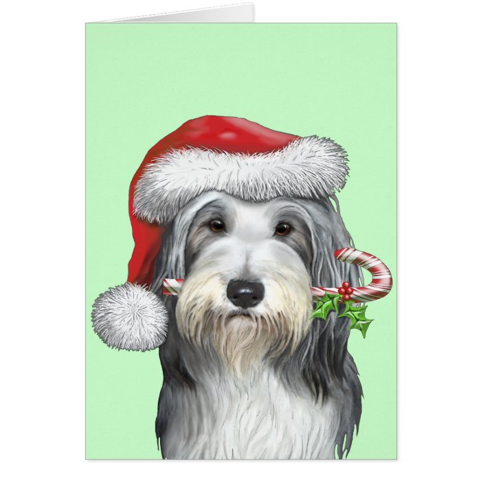 Christmas With Jazz The Bearded Collie Greeting Card