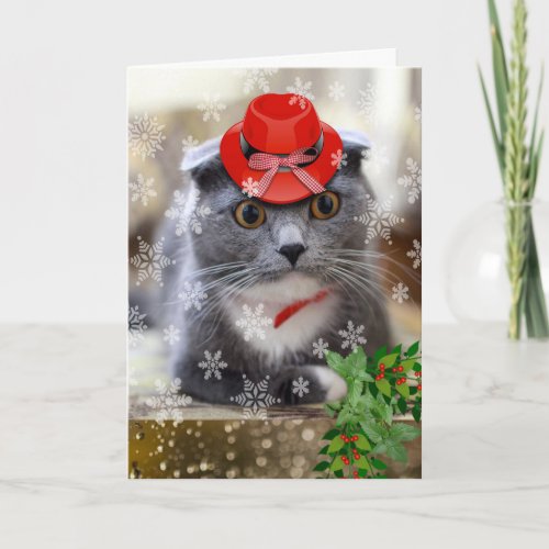 Christmas with Scottish Fold Cat in Red Hat Card