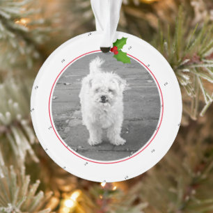 Christmas WOOF Paw Print Dog Name PHOTO Holly Fun Ornament