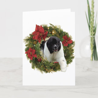 Christmas Wreath Newf Landseer Holiday Card