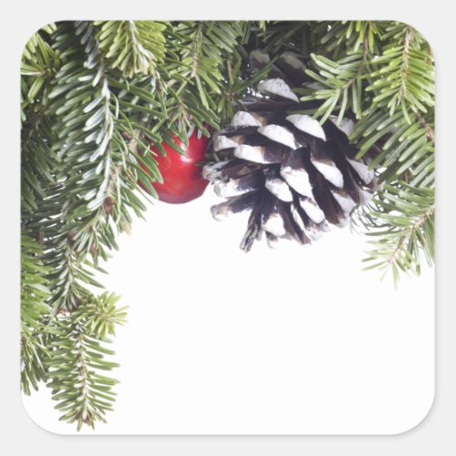 Christmas Wreath Pine Cone Red Berry Template Square Sticker