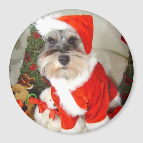 Christmas XMas Miniature Schnauzer Magnet