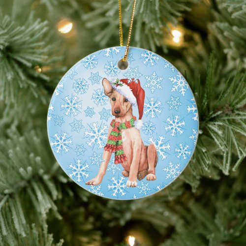 Christmas Xoloitzcuintli Ceramic Ornament