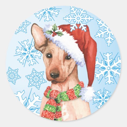 Christmas Xoloitzcuintli Classic Round Sticker