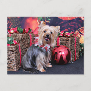 Christmas - Yorkie - Abby Holiday Postcard
