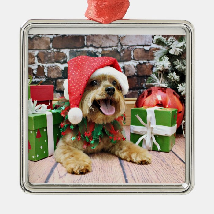 Christmas   Yorkie   Jack Christmas Tree Ornaments