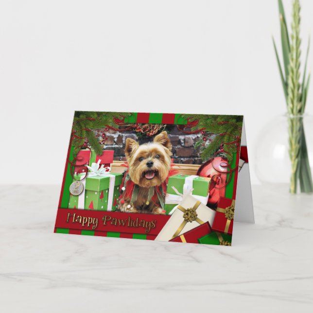 Christmas - Yorkie - Sunny Holiday Card (Front)