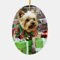 Christmas - Yorkie - Willie