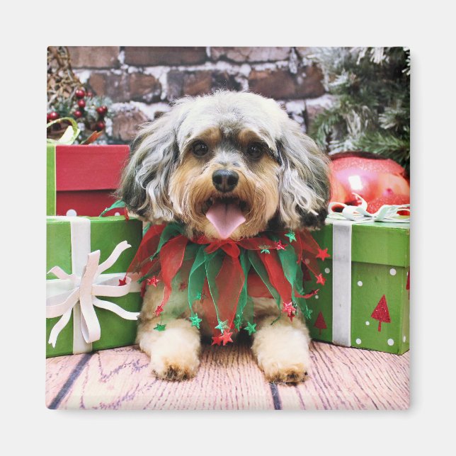 Christmas - YorkiPoo - Oliver Magnet (Front)