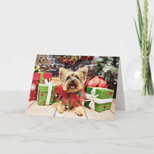 Christmas - Yorkshire Terrier - Bella Holiday Card (Front)