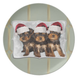 Christmas Yorkshire terriers dinner plate