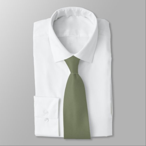 Chroma Textura _ Sage Solid Color Neck Tie