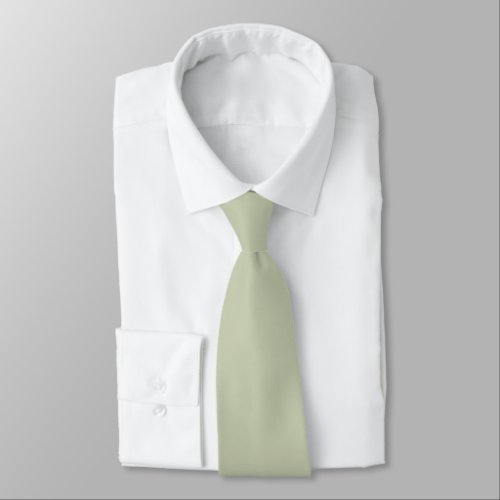 Chroma Textura _ Tea Solid Color Neck Tie