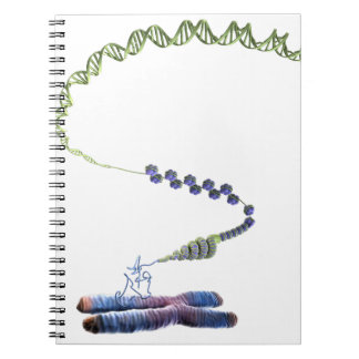 Chromatin Notebook