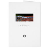 Chrome Cards (Back)