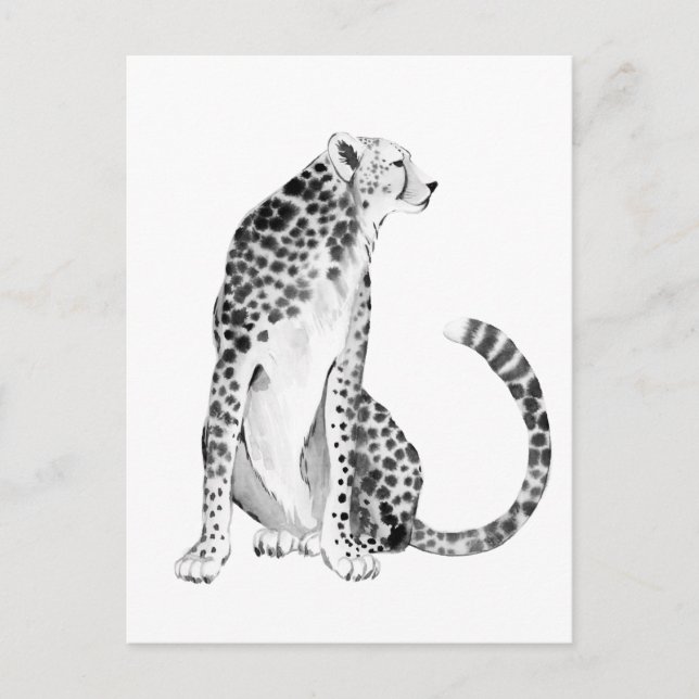 Chrome Cheetah Postcard (Front)