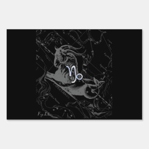 Chrome like Capricorn Zodiac Sign on Hevelius
