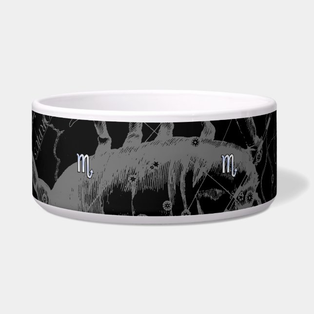 Chrome like Scorpio Zodiac Symbol on Hevelius Bowl (Front)