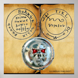 CHROME SKULL AND ANTIQUE PIRATES TREASURE MAP POSTER